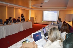 The meeting taking place at Elite Hotel in Beirut, aims to check the good performances of the project and overcoming any obstacles that may block its progress